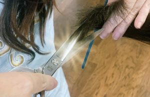 Japanese hitachi blade