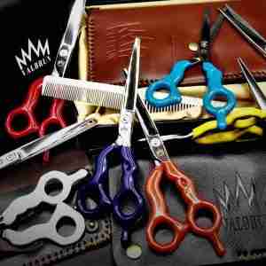 Professional color salon shears