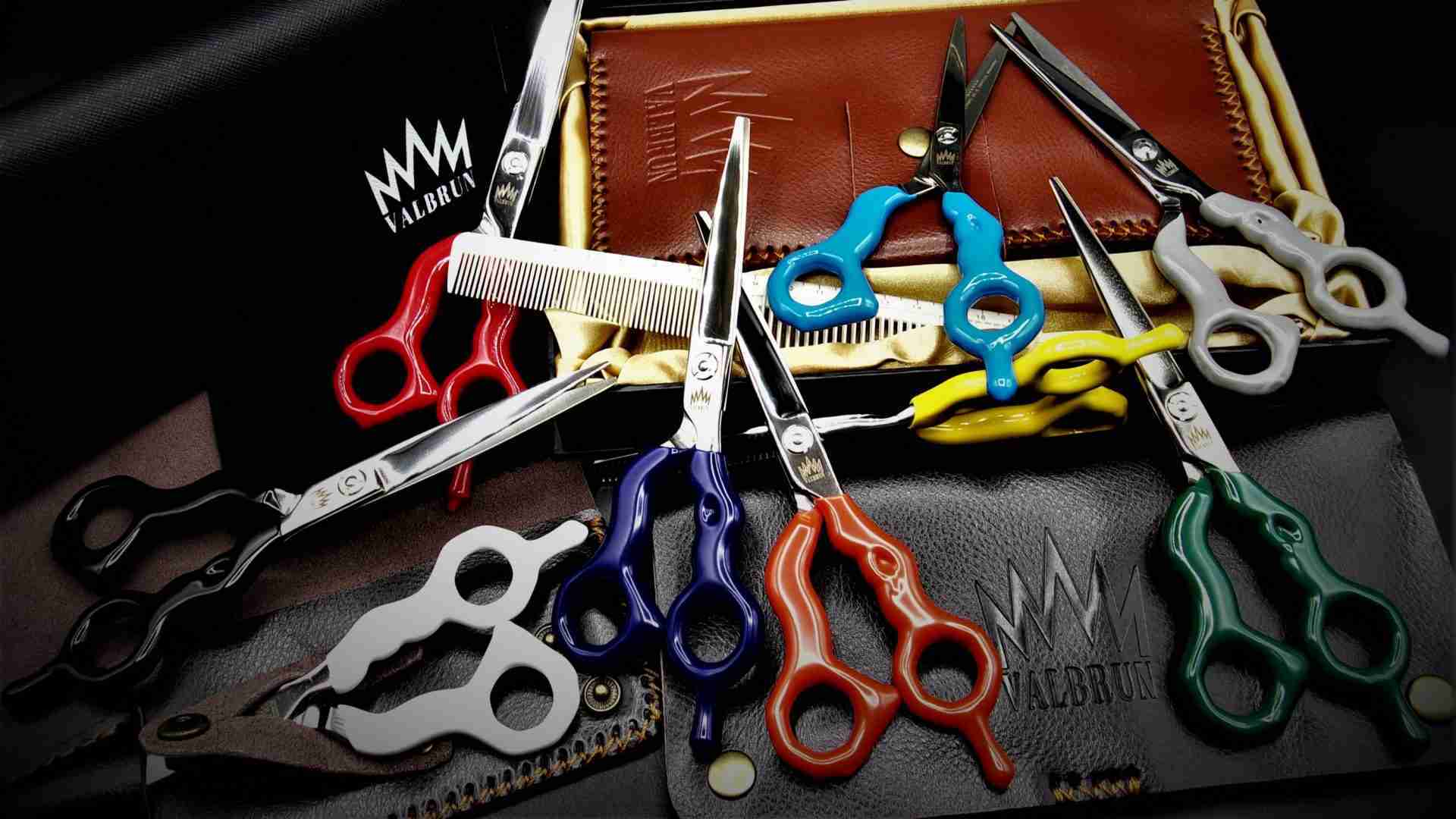 Professional color salon shears