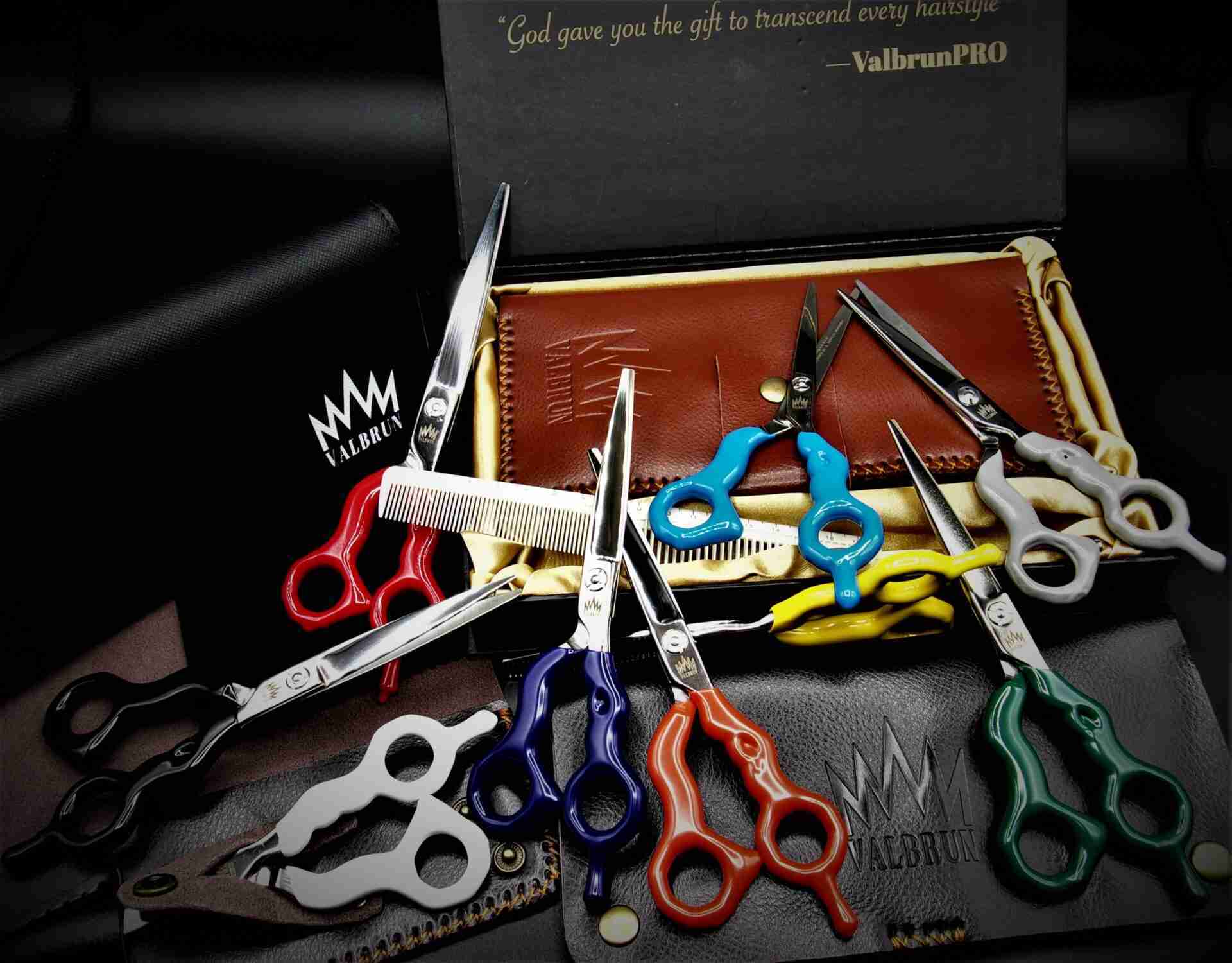 Professional color salon shears