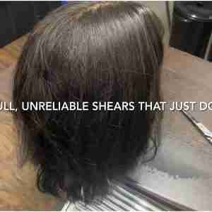 The Cutting Edge Shears